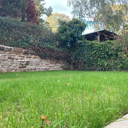 Kiara * Westerhausen