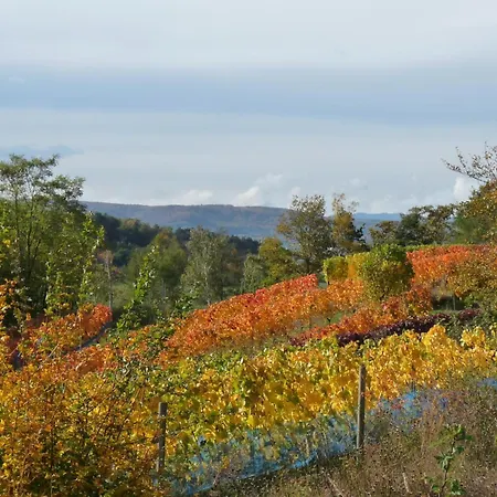 Διαμέρισμα Kiara Westerhausen