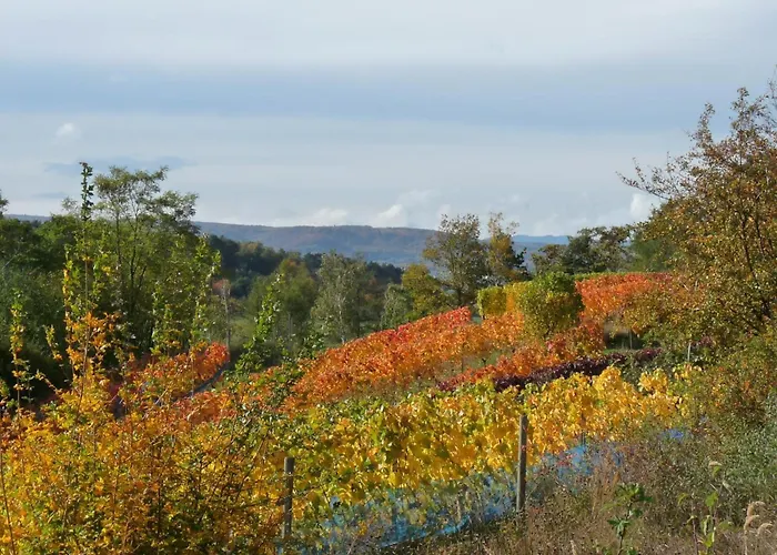 Apartamento Kiara Westerhausen