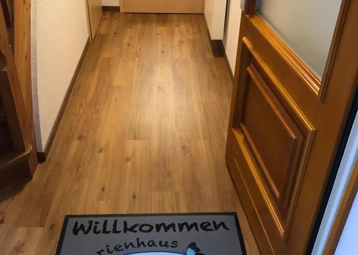 Kiara * Westerhausen