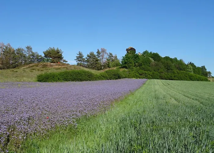 Διαμέρισμα Kiara *